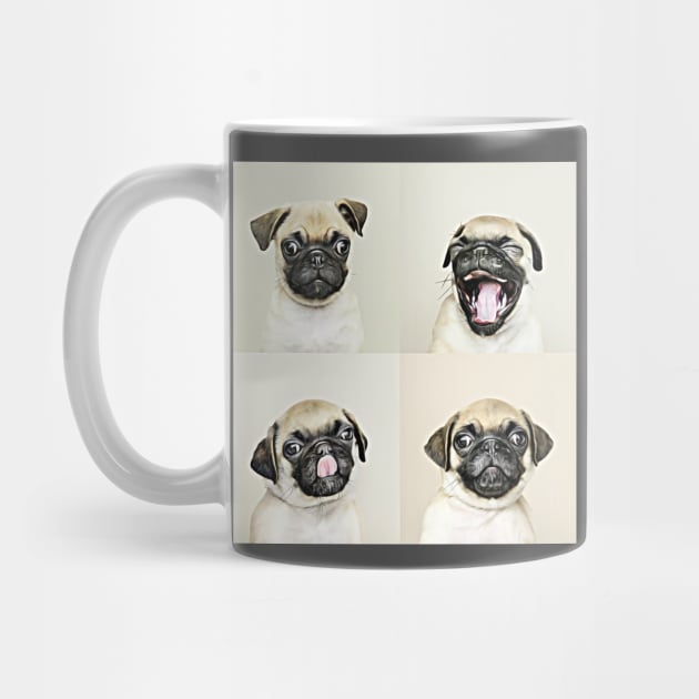 The Four Faces Of Pug by cameradog